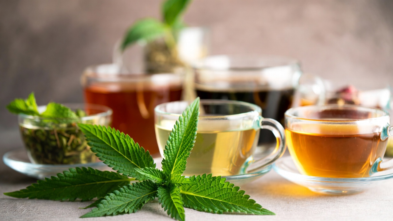 Trave i mješavine za mršavljenje